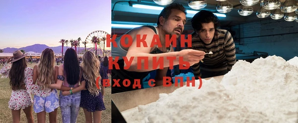 молекула духа Алексин
