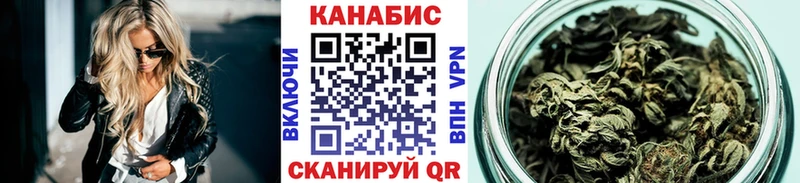 Купить  Далматово  Конопля сатива 